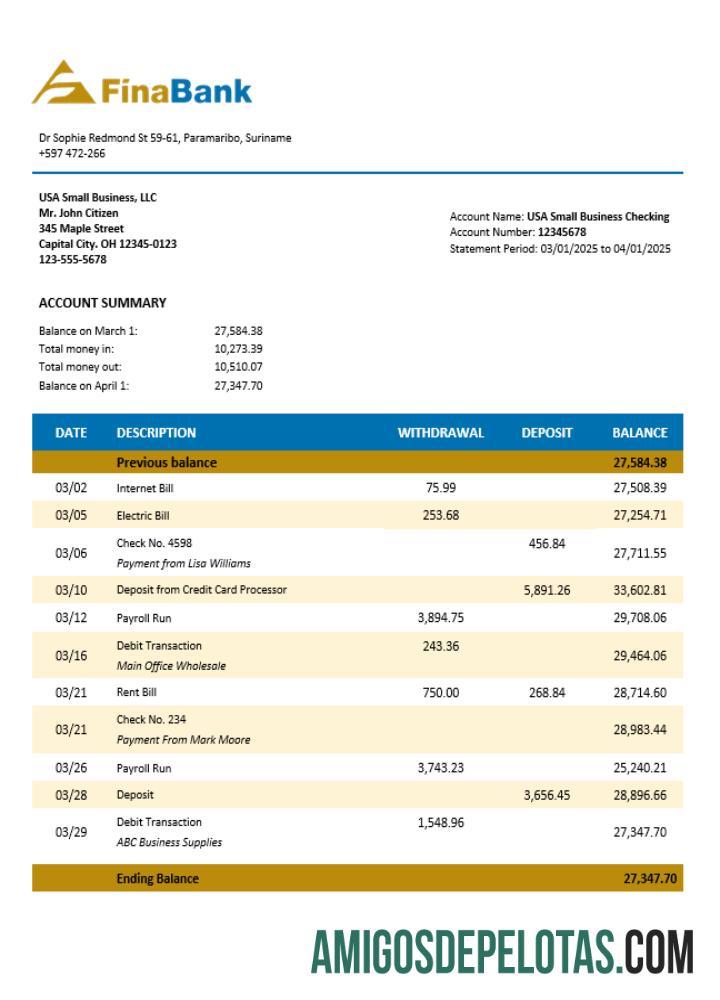 Imprimível Suriname Finabank Enterprise Statement modelo Word e PDF